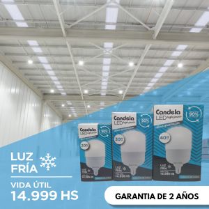 LAMPARA LED HIGH POWER 20W FRIA CANDELA - Vista 4