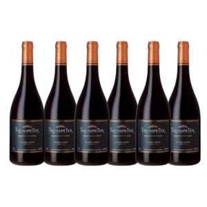 VINO TRUMPETER SYRAH / MALBEC 750 CC X 6 BOTELLAS