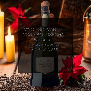 VINO ESPUMANTE NORTON COSECHA ESPECIAL CHAMPAGNE EXTRA BRUT 750 ML - Vista 1