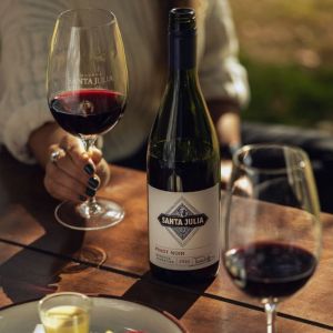 VINO SANTA JULIA PINOT NOIR 750 CC - Vista 1