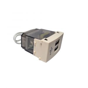 MODULO 1 CARGADOR USB 2A DOBLE BEIGE PLEIN EXULTT - Vista 1