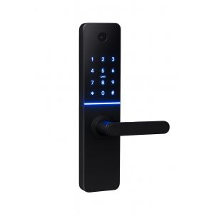 CERRADURA SMART C/ CAMARA HUELLA + PIN + TARJETA + LLAVE + APP PRONEXT - Vista 1