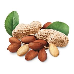 MANI TOSTADO MANI KING C/ CASCARA 175 GR - Vista 2