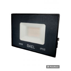 REFLECTOR LED 30 WTS POINTER PRO BAEL - Vista 1