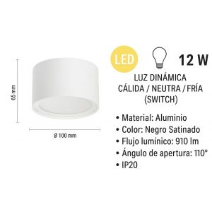 APLIQUE LED DE TECHO PRISMA ALUMINIO BLANCO 12W LEUK - Vista 1