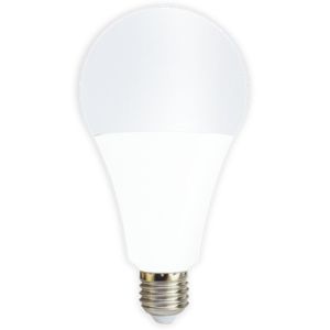 LAMPARA LED BULBO 20W LUZ DIA TBCIN