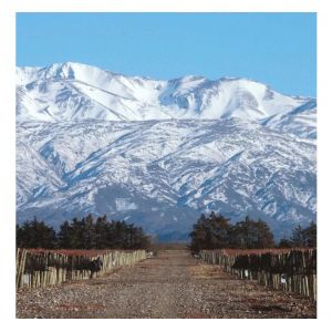 VINO TRUMPETER RESERVE DOUX 750 CC - Vista 1