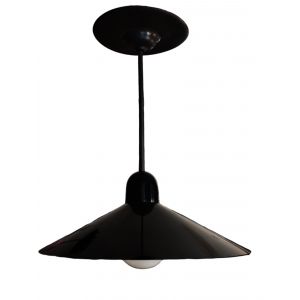 LAMPARA COLGANTE CHINO 1 LUZ BASICO NEGRO + LAMPARA GLOBO LED 12WTS CALIDO