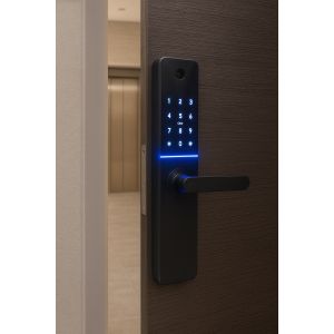 CERRADURA SMART C/ CAMARA HUELLA + PIN + TARJETA + LLAVE + APP PRONEXT