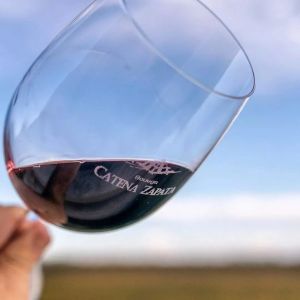 VINO DV CATENA MALBEC 750 CC X 6 BOTELLAS - Vista 4