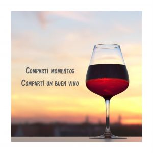 VINO ELEMENTOS MALBEC 750 CC - Vista 2