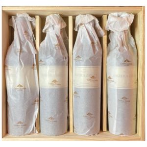 VINO ANGELICA ZAPATA MALBEC 750 ML CAJA X4 UNIDADES - Vista 2