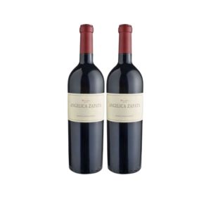 VINO ANGELICA ZAPATA MALBEC 750 ML X2