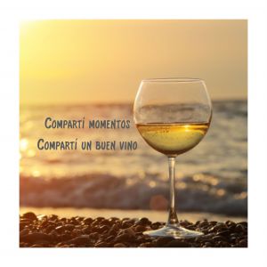 VINO NAMPE SAUVIGNON BLANCO 750 CC - Vista 2