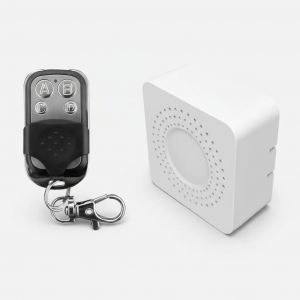 INTERRUPTOR INTELIGENTE WIFI 433MHZ DEMAS