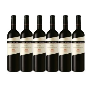VINO FOND DE CAVE MALBEC 750 ML X6