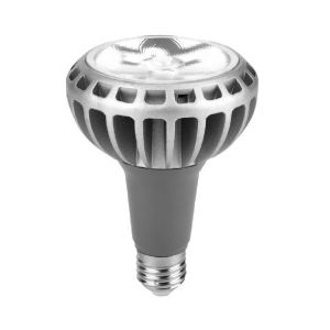 LAMPARA PAR 30 LED 30W E27 DE ALUMINIO MACROLED
